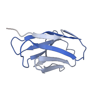 9375_6ni2_L_v1-2
Stabilized beta-arrestin 1-V2T subcomplex of a GPCR-G protein-beta-arrestin mega-complex