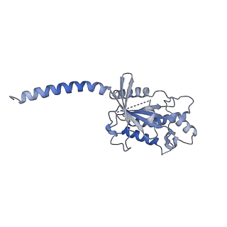 9376_6ni3_A_v1-2
B2V2R-Gs protein subcomplex of a GPCR-G protein-beta-arrestin mega-complex