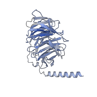 9376_6ni3_B_v1-2
B2V2R-Gs protein subcomplex of a GPCR-G protein-beta-arrestin mega-complex