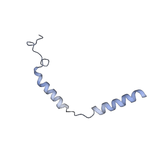 9376_6ni3_G_v1-2
B2V2R-Gs protein subcomplex of a GPCR-G protein-beta-arrestin mega-complex