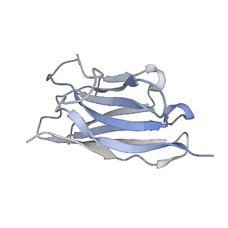 9376_6ni3_N_v1-2
B2V2R-Gs protein subcomplex of a GPCR-G protein-beta-arrestin mega-complex