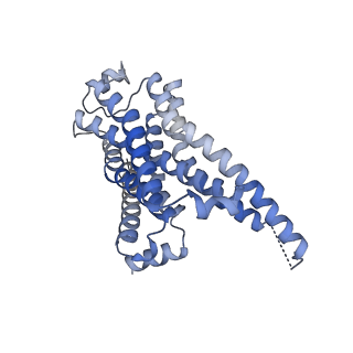 9376_6ni3_R_v1-2
B2V2R-Gs protein subcomplex of a GPCR-G protein-beta-arrestin mega-complex