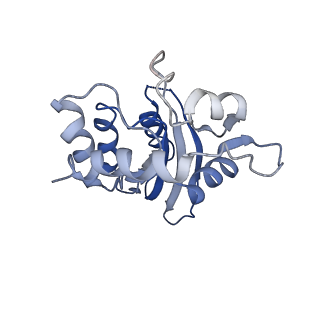 9380_6nil_A_v1-1
cryoEM structure of the truncated HIV-1 Vif/CBFbeta/A3F complex