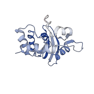 9380_6nil_A_v1-2
cryoEM structure of the truncated HIV-1 Vif/CBFbeta/A3F complex