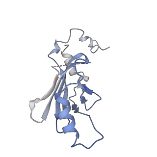 9380_6nil_B_v1-1
cryoEM structure of the truncated HIV-1 Vif/CBFbeta/A3F complex