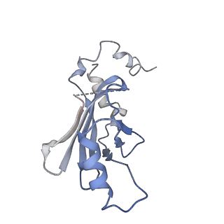 9380_6nil_B_v1-2
cryoEM structure of the truncated HIV-1 Vif/CBFbeta/A3F complex