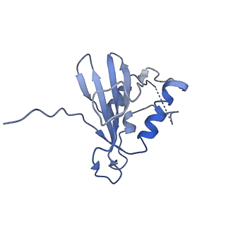 9380_6nil_C_v1-1
cryoEM structure of the truncated HIV-1 Vif/CBFbeta/A3F complex