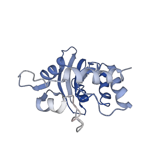 9380_6nil_D_v1-1
cryoEM structure of the truncated HIV-1 Vif/CBFbeta/A3F complex