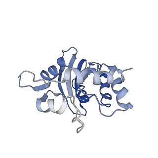 9380_6nil_D_v1-2
cryoEM structure of the truncated HIV-1 Vif/CBFbeta/A3F complex