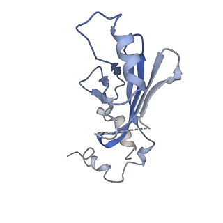 9380_6nil_E_v1-1
cryoEM structure of the truncated HIV-1 Vif/CBFbeta/A3F complex