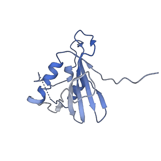 9380_6nil_F_v1-1
cryoEM structure of the truncated HIV-1 Vif/CBFbeta/A3F complex