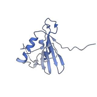 9380_6nil_F_v1-2
cryoEM structure of the truncated HIV-1 Vif/CBFbeta/A3F complex