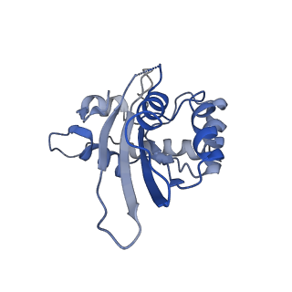 9380_6nil_G_v1-1
cryoEM structure of the truncated HIV-1 Vif/CBFbeta/A3F complex
