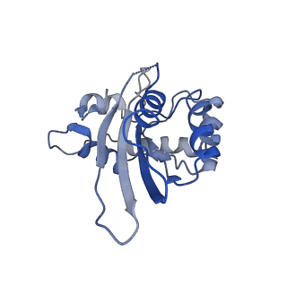 9380_6nil_G_v1-2
cryoEM structure of the truncated HIV-1 Vif/CBFbeta/A3F complex