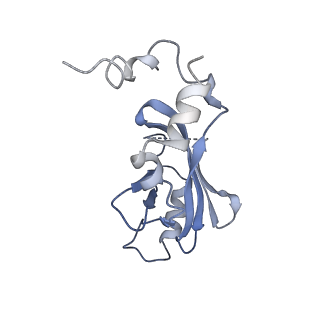 9380_6nil_H_v1-1
cryoEM structure of the truncated HIV-1 Vif/CBFbeta/A3F complex
