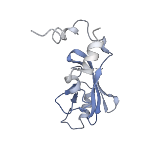 9380_6nil_H_v1-2
cryoEM structure of the truncated HIV-1 Vif/CBFbeta/A3F complex