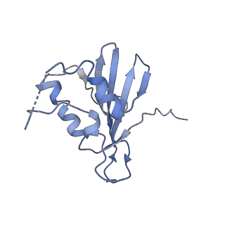 9380_6nil_I_v1-1
cryoEM structure of the truncated HIV-1 Vif/CBFbeta/A3F complex