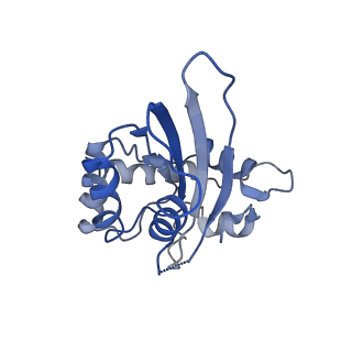 9380_6nil_J_v1-1
cryoEM structure of the truncated HIV-1 Vif/CBFbeta/A3F complex