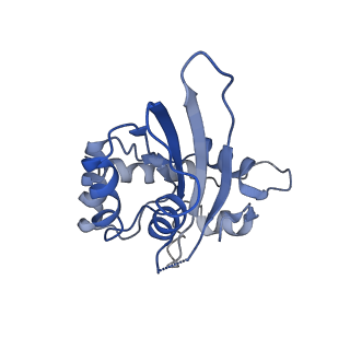 9380_6nil_J_v1-2
cryoEM structure of the truncated HIV-1 Vif/CBFbeta/A3F complex