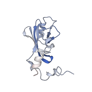 9380_6nil_K_v1-1
cryoEM structure of the truncated HIV-1 Vif/CBFbeta/A3F complex