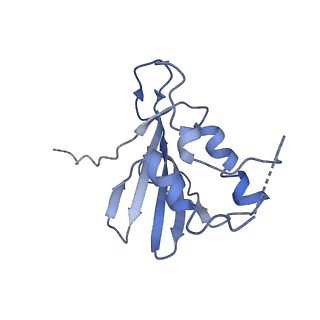 9380_6nil_L_v1-2
cryoEM structure of the truncated HIV-1 Vif/CBFbeta/A3F complex