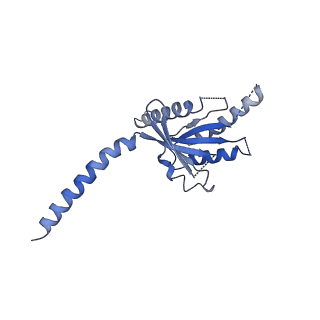9382_6niy_A_v1-3
A high-resolution cryo-electron microscopy structure of a calcitonin receptor-heterotrimeric Gs protein complex