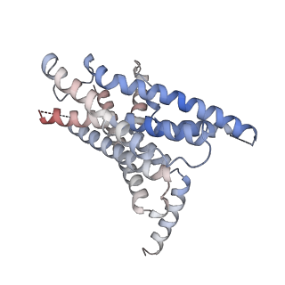 9382_6niy_R_v1-3
A high-resolution cryo-electron microscopy structure of a calcitonin receptor-heterotrimeric Gs protein complex