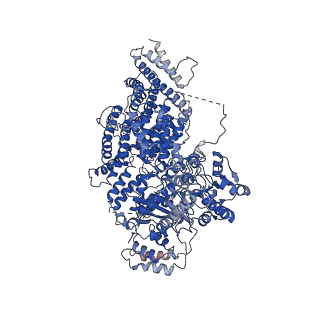 12368_7nj0_A_v1-1
CryoEM structure of the human Separase-Cdk1-cyclin B1-Cks1 complex