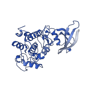 12368_7nj0_B_v1-1
CryoEM structure of the human Separase-Cdk1-cyclin B1-Cks1 complex