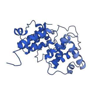 12368_7nj0_C_v1-1
CryoEM structure of the human Separase-Cdk1-cyclin B1-Cks1 complex