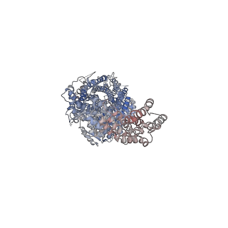 12369_7nj1_A_v1-1
CryoEM structure of the human Separase-Securin complex