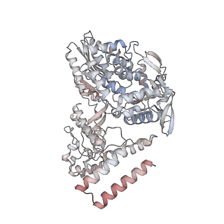 12371_7nj3_B_v1-1
1918 H1N1 Viral influenza polymerase heterotrimer with Nb8196 core