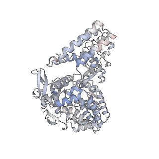 12373_7nj5_B_v1-1
1918 H1N1 Viral influenza polymerase heterotrimer with Nb8199 core