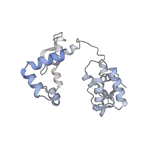 12373_7nj5_C_v1-1
1918 H1N1 Viral influenza polymerase heterotrimer with Nb8199 core