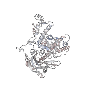 12375_7nj7_A_v1-1
1918 H1N1 Viral influenza polymerase heterotrimer with Nb8200 core