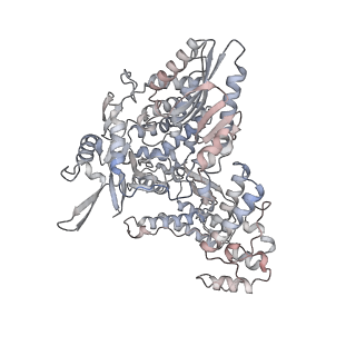 12375_7nj7_B_v1-1
1918 H1N1 Viral influenza polymerase heterotrimer with Nb8200 core