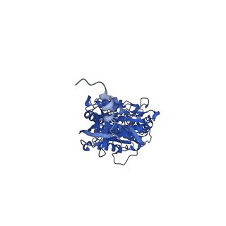 12377_7njk_A_v1-2
Mycobacterium smegmatis ATP synthase state 1a