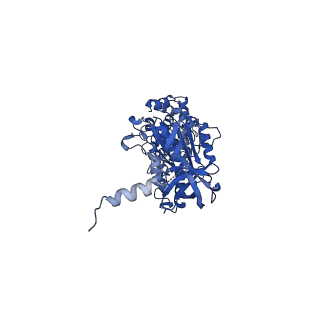 12377_7njk_B_v1-2
Mycobacterium smegmatis ATP synthase state 1a
