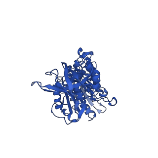12377_7njk_D_v1-2
Mycobacterium smegmatis ATP synthase state 1a