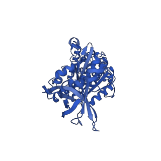 12377_7njk_E_v1-2
Mycobacterium smegmatis ATP synthase state 1a