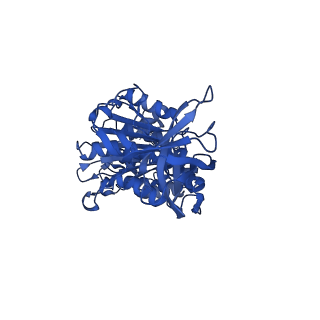 12377_7njk_F_v1-2
Mycobacterium smegmatis ATP synthase state 1a