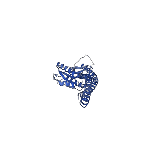 12377_7njk_G_v1-2
Mycobacterium smegmatis ATP synthase state 1a