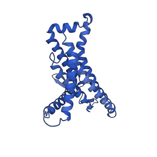12377_7njk_a_v1-2
Mycobacterium smegmatis ATP synthase state 1a