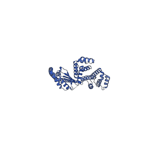12377_7njk_d_v1-2
Mycobacterium smegmatis ATP synthase state 1a