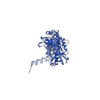 12382_7njl_B_v1-2
Mycobacterium smegmatis ATP synthase state 1b