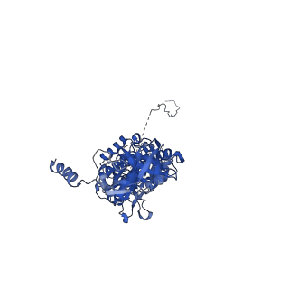 12382_7njl_C_v1-2
Mycobacterium smegmatis ATP synthase state 1b