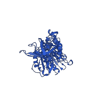 12382_7njl_D_v1-2
Mycobacterium smegmatis ATP synthase state 1b