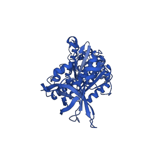 12382_7njl_E_v1-2
Mycobacterium smegmatis ATP synthase state 1b