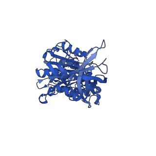 12382_7njl_F_v1-2
Mycobacterium smegmatis ATP synthase state 1b