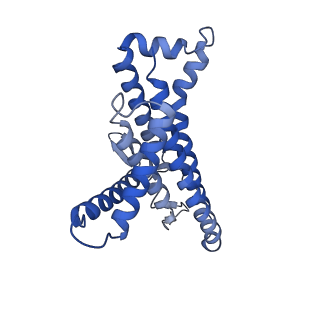 12382_7njl_a_v1-2
Mycobacterium smegmatis ATP synthase state 1b